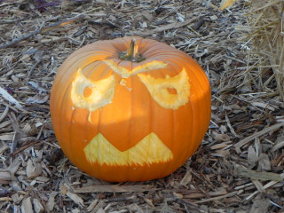 Watch It, Nipomo Pumpkin Patch best carving idea